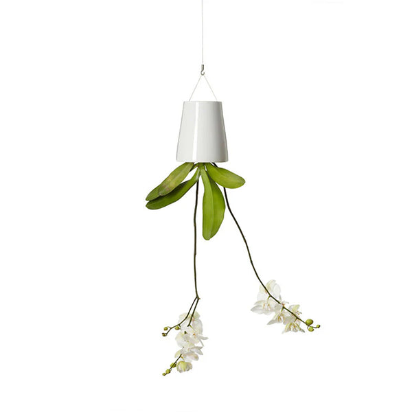 Boskke Sky Planter by Patrick Morris | Clearance | Haus London — haus®