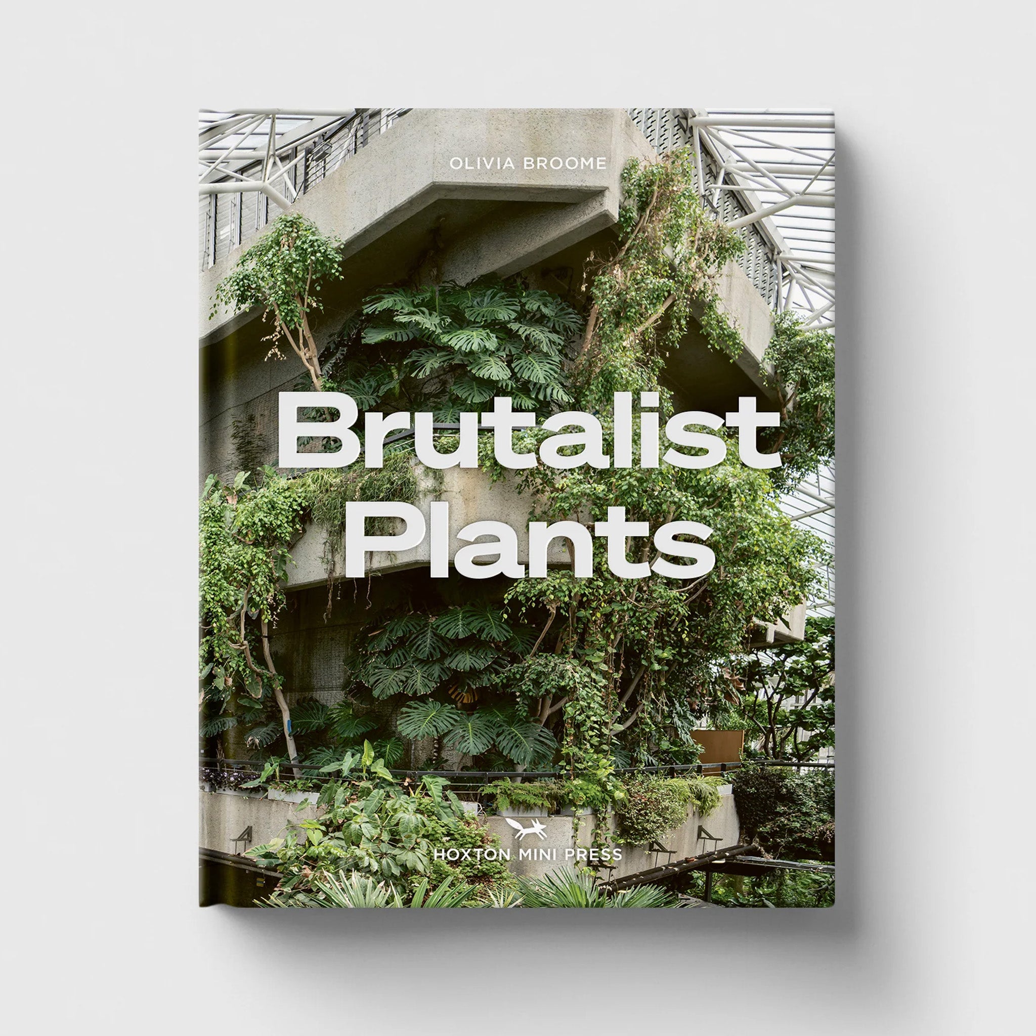 Brutalist Plants by Olivia Broome for Hoxton Mini Press
