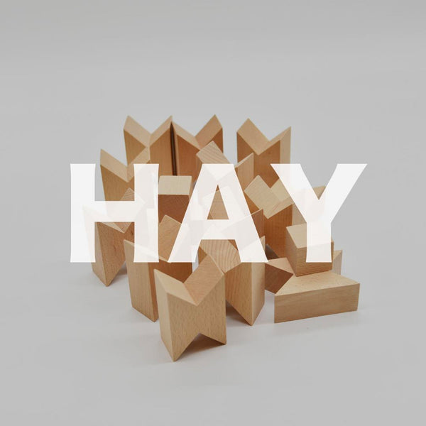 Clearance Twins Building Blocks by Hay — haus®