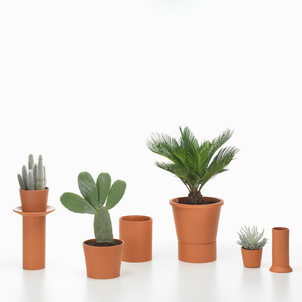 Terracotta Pots By Thélonious Goupil — haus®