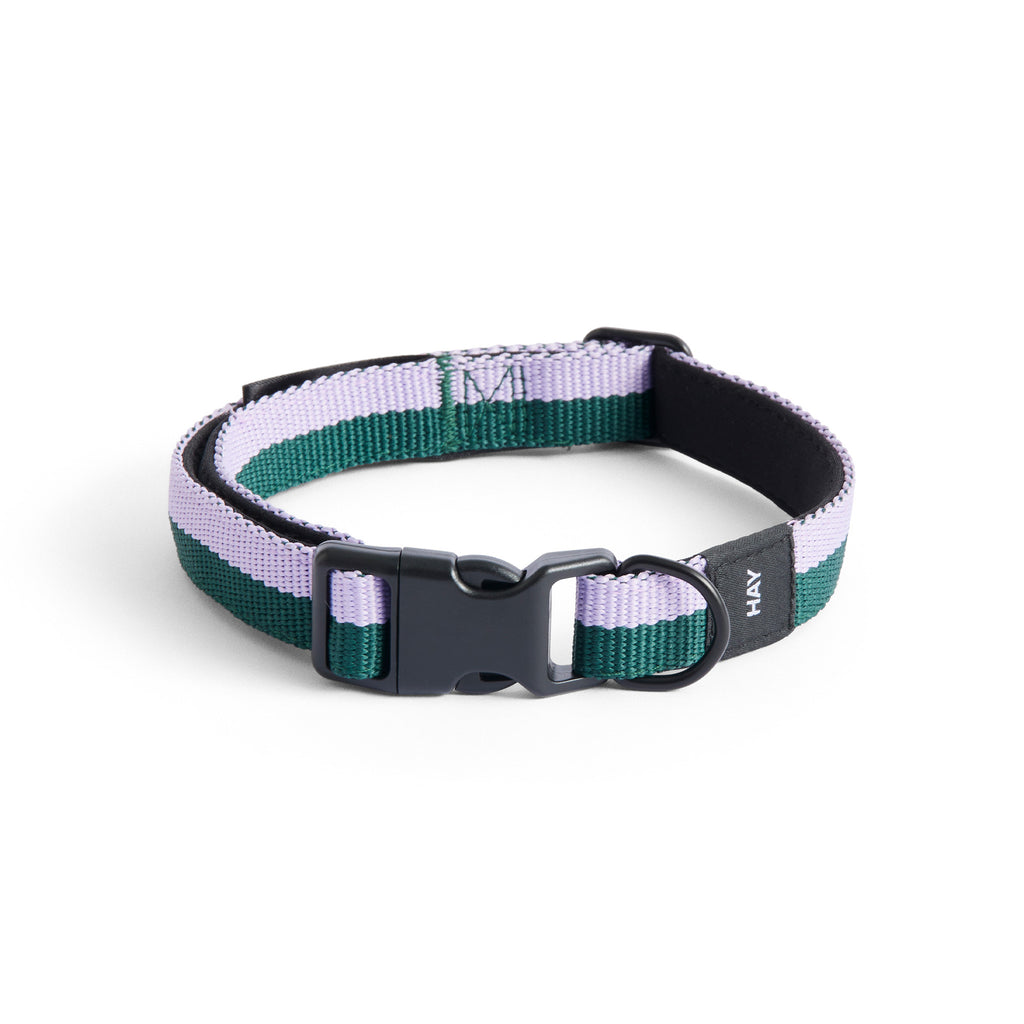 HAY Dogs Collar By Holly Golightly x HAY