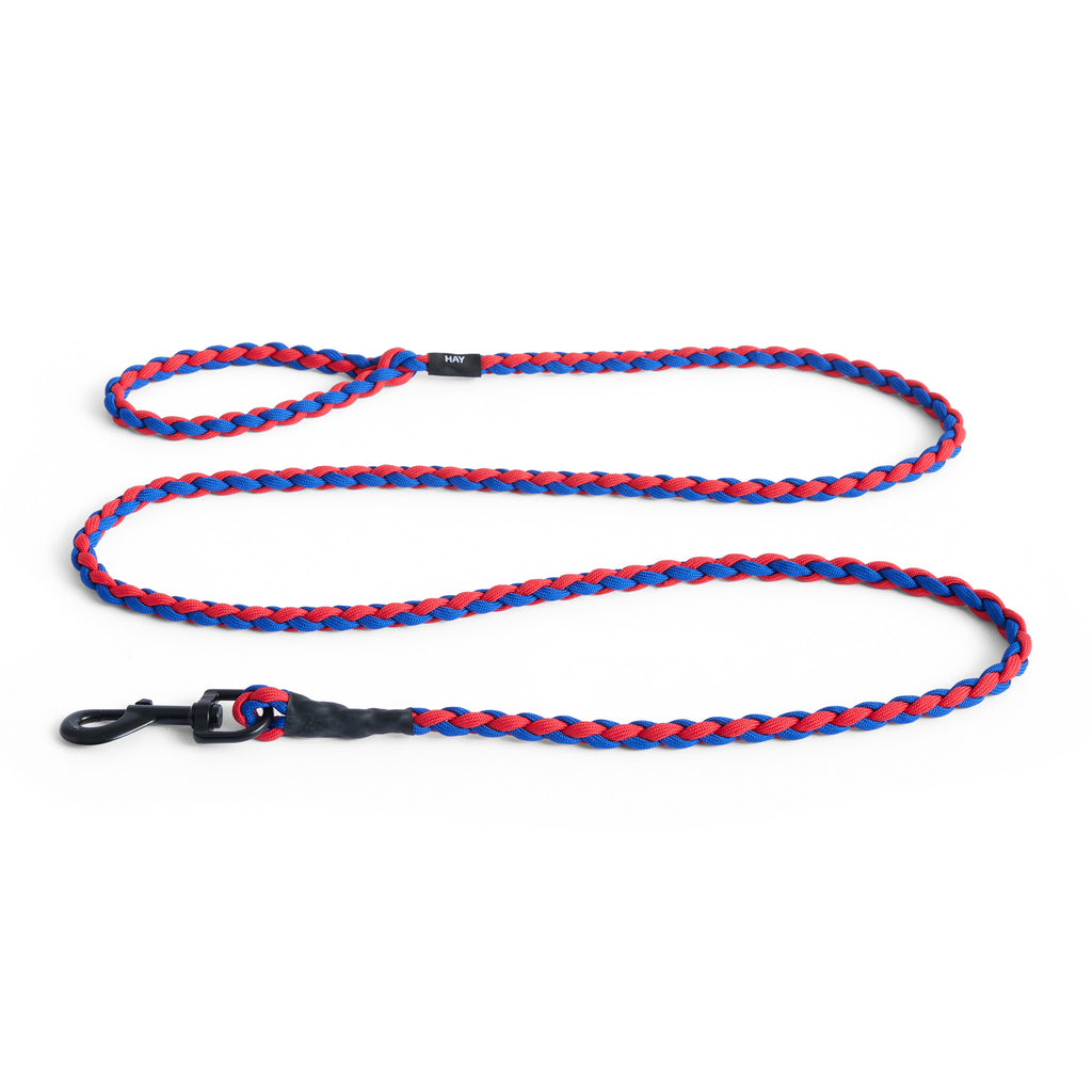 HAY Dogs Leash By Holly Golightly x HAY