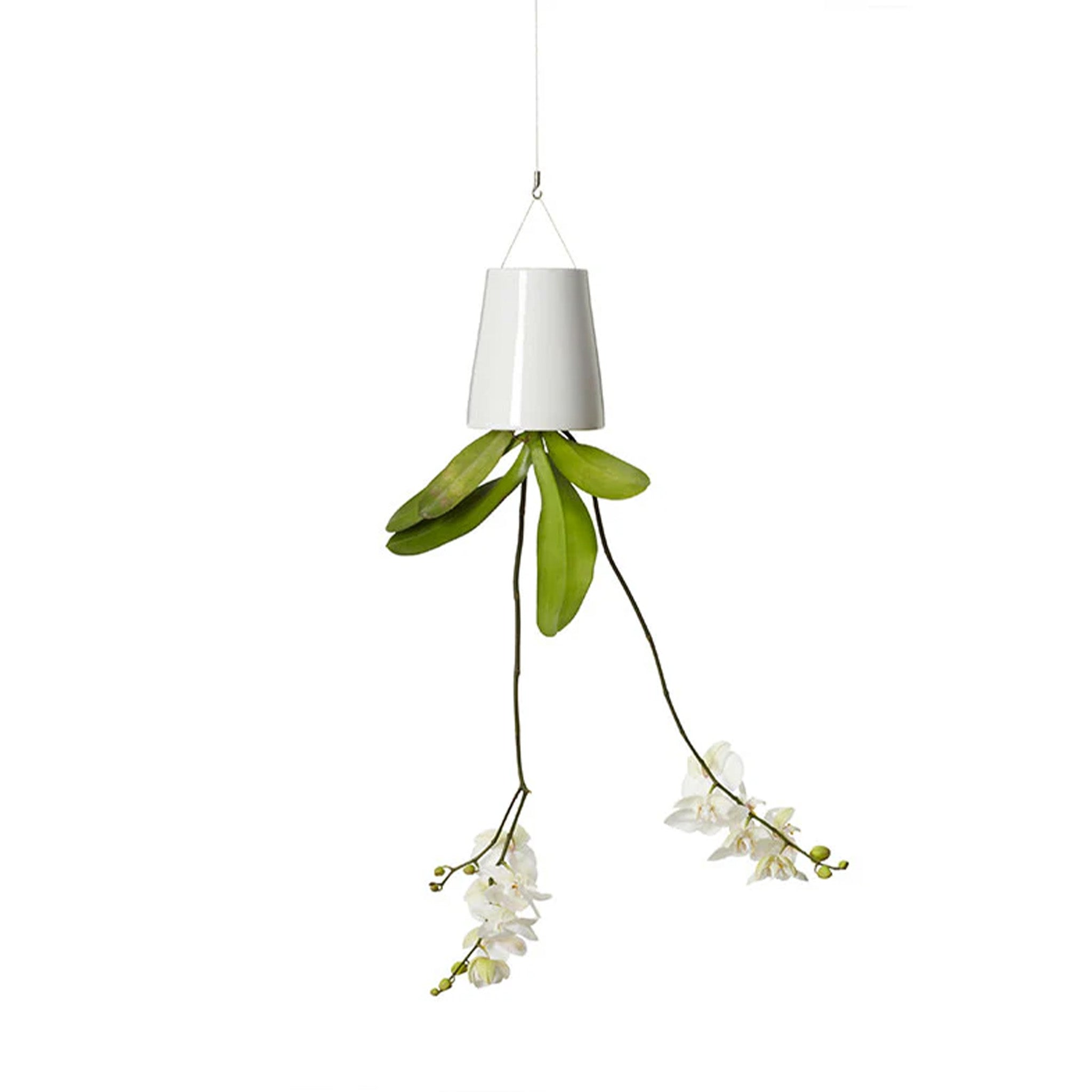 Clearance Sky Planter by Patrick Morris