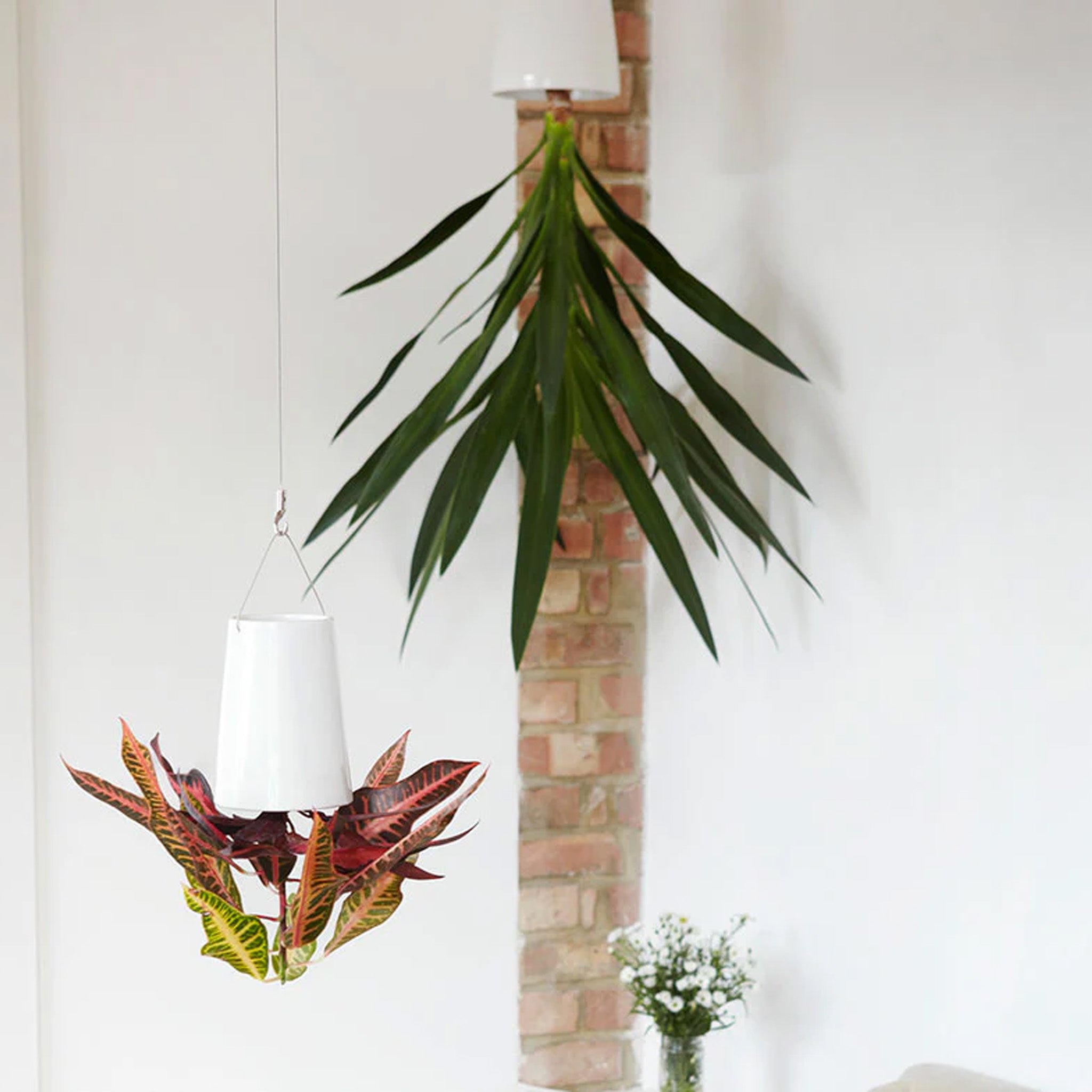 Boskke Sky Planter by Patrick Morris (Clearance)