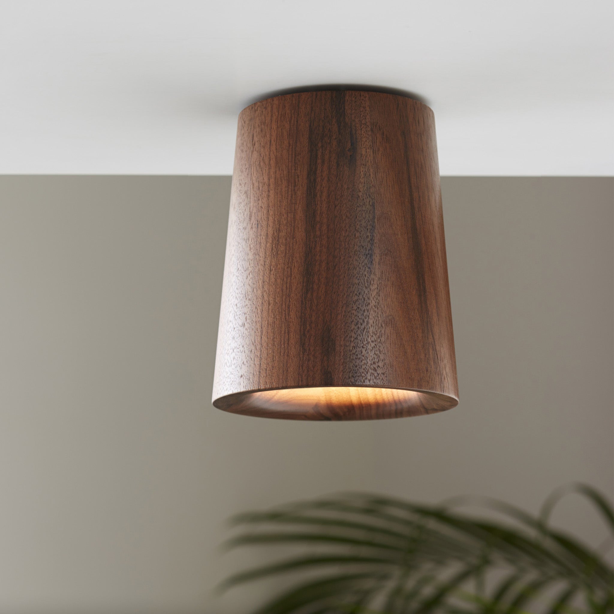 Solid Downlight Cone - Wood by Terence Woodgate — haus®